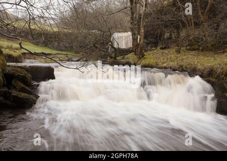 East Gill Force Wasserfälle in der Nähe von Keld, in den Yorkshire Dales Stockfoto