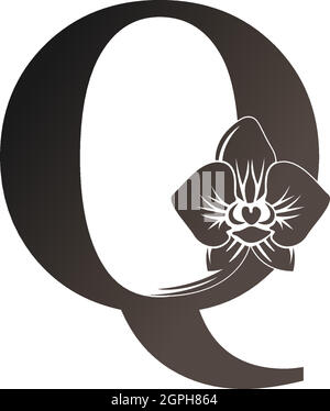 Buchstabe Q-Logo-Symbol mit schwarzem Orchideendesign-Vektor Stock Vektor