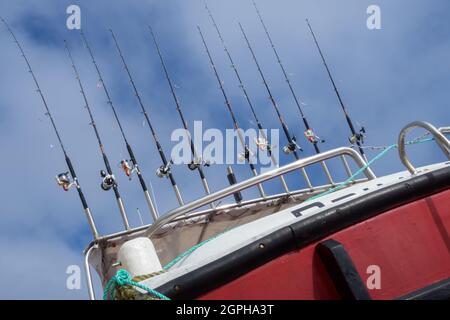 Eine Reihe von zehn Angelruten auf Einem kornischen Boot in St. Ives Harbour Harbour - Großbritannien Stockfoto