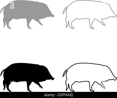 Wildschwein Hog Warze Schweine Suidae Sus Tusker Scrofa Silhouette grau schwarz Farbe Vektor Illustration solide Kontur Stil Bild Stock Vektor