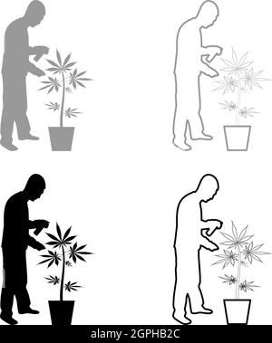 Mann, der für Marihuana-Pflanze im Topfwasser sprüht, mit Handregner wässern Gartenarbeit Erntekonzept zu Hause Silhouette grau schwarz Farbe Vektor Illustration solide Kontur Stil Bild Stock Vektor