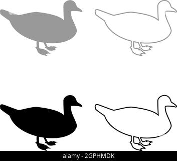 Ente männliche Stockente Vogel Wasservögel Wasservögel Geflügel Geflügel Canard Silhouette grau schwarz Farbe Vektor Illustration solide Kontur Stil Bild Stock Vektor