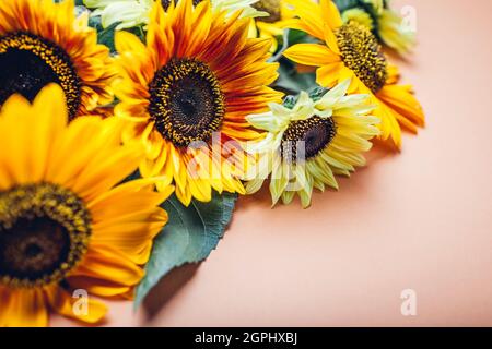Büschel gelb orange Limette Sonnenblumen auf dem Hintergrund. Gruppe von Herbstblüten im Sommer. Platz Stockfoto