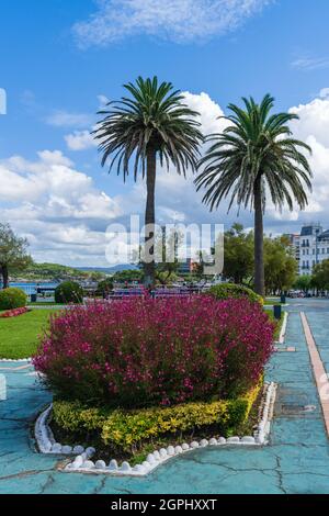 Gärten im Viertel El Sardinero in Santander, Kantabrien, Spanien. Stockfoto