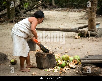 Santa Marta, Magdalena, Kolumbien - 22 2021. Mai: Indigene Frau der ethnischen Gruppe Nordkolumbias schneidet mehrere Kokosnüsse mit einem großen Machet Stockfoto