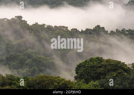 Die Moody-Landschaft mit Blick auf den tropischen Regenwald von Trinidad und Tobago mit nebligen Wolken. Stockfoto