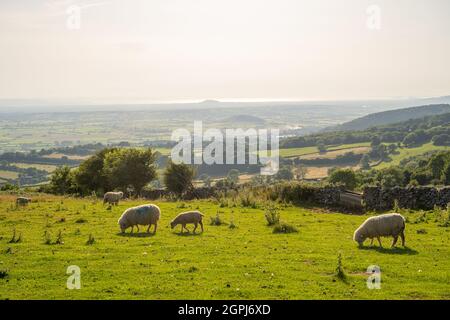 Blick über die Somerset Moors in Richtung Bristol Channel von Deerspring auf den Mendip Hills Stockfoto