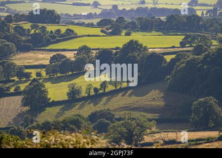 Blick über Ackerland von DeerLEAP auf dem Mendip Hills Somerset Stockfoto