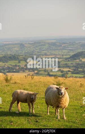 Blick über die Somerset Moors in Richtung des Flusses severn von Deersprung auf den Mendip Hills Stockfoto