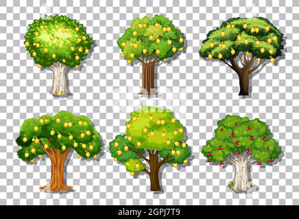 Set von verschiedenen Zitronenbäumen auf transparentem Hintergrund Illustration Stock Vektor