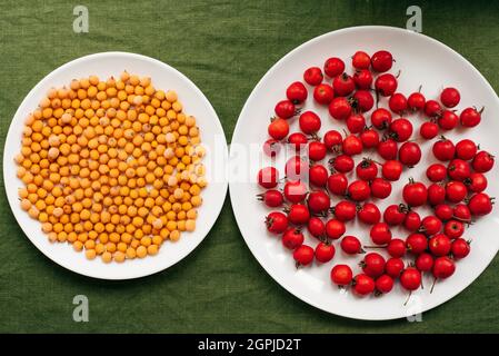 Die roten Beeren des frischen Weißdorns und des Sanddorns in den Teller Stockfoto