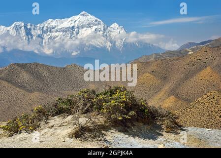 Majestätischer Blick auf den Himalaya-Berg. Obere Mustang Landschaft in Nepal. Stockfoto