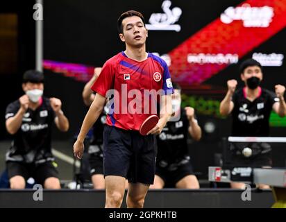 Doha, Katar. September 2021. Ho Kwan Kit aus Hongkong, China, reagiert beim Mannschaftsquartal zwischen Südkorea und Hongkong, China, bei den ITTF-ATTU Asienmeisterschaften 2021 in Doha, Katar, am 29. September 2021, gegen Lim Jonghoon, Südkorea. Kredit: Nikku/Xinhua/Alamy Live Nachrichten Stockfoto