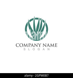 Aloe Vera Logo und Symbol Vektor Bild Stock Vektor