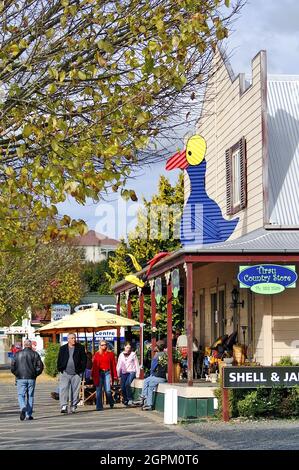 Tirau, eine kleine Stadt in der Region Waikato auf der Nordinsel Neuseelands, wird als inoffizielle "Wellpappenhauptstadt der Welt" bezeichnet. Wellblech, das in ganz Neuseeland verwendet wird, wird verwendet, um eine surreale, skurrile und kunstvoll wirkende Stadt zu schaffen, in der Wellblech verwendet wird, um Gebäude in Form von Tieren, kunstvoller Geschäftsschilder, Und öffentliche Kunst. Diese einzigartige Stadt ist voll von kleinen Unternehmen an der Hauptstraße und bietet einen guten Halt für alle, die von Hamilton nach Rotorua reisen. Stockfoto