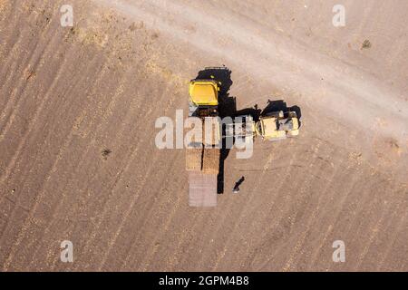 Traktor lädt Heuballen auf einen geparkten LKW, Luftansicht. Stockfoto