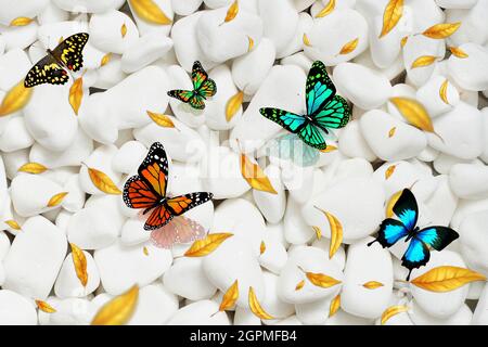 Schmetterling auf Stein, 3d-Illustration Stockfoto