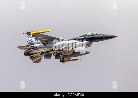 Die belgische Luftwaffe General Dynamics (SABCA) F-16AM Fighting Falcon (REG: FA-101) kommt an, um an der Flugschau teilzunehmen. Stockfoto