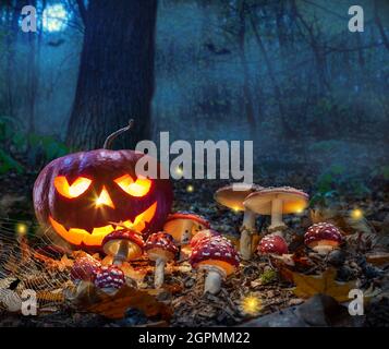 Halloween-Thema mit leuchtendem Kürbis im dunklen Herbstwald mit Amanita und Mond. Halloween Horror Hintergrund. Stockfoto