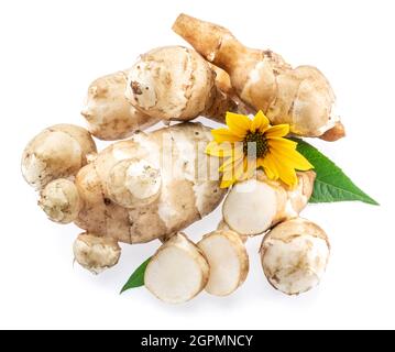 Jerusalemer Artischockenwurzeln mit Blättern und Blüten der Jerusalemer Artischocke isoliert auf weißem Hintergrund. Stockfoto