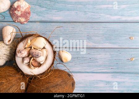 Kokosnüsse und Muscheln auf einem blauen Holzhintergrund.Marine Thema. Stockfoto