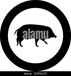 Wildschwein Hog Warze Schweine Suidae Sus Tusker Scrofa Silhouette im Kreis rund schwarz Farbe Vektor Illustration solide Kontur Stil Bild Stock Vektor