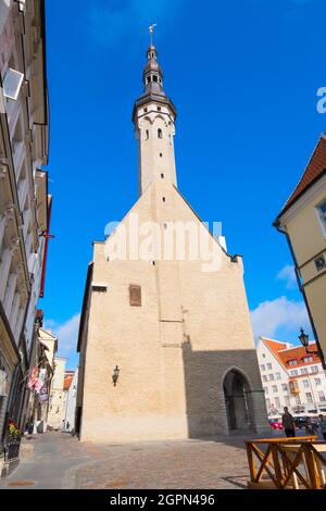 Tallinna Raekoda, Rathaus, Altstadt, Tallinn, Estland Stockfoto