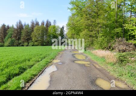 Idyllische Landschaft mit Wanderweg entlang eines Waldes mit grünen Blättern in der Landschaft in Westerwald, Rheinland-Pfalz, Deutschland, Europa Stockfoto