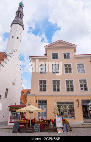 Pikk Straße mit Puhavaimu Kirik, Altstadt, Tallinn, Estland Stockfoto