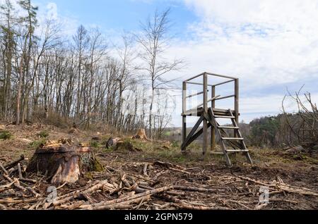 Einfaches, hochgezogenes Holzverstecke mit Leiter zur Jagd und Beobachtung von Wildtieren in der Nähe eines Waldes in Westerwald, Rheinland-Pfalz, Deutschland, Europa Stockfoto