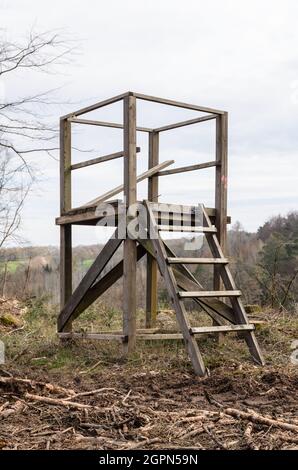 Einfaches, hochgezogenes Holzverstecke mit Leiter zur Jagd und Beobachtung von Wildtieren in der Nähe eines Waldes in Westerwald, Rheinland-Pfalz, Deutschland, Europa Stockfoto