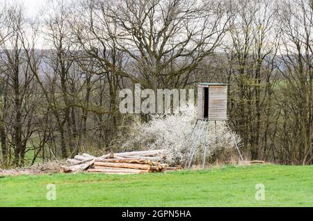 Holzhochsitz mit Leiter zur Jagd und Beobachtung von Wildtieren in der Nähe eines Waldes in Westerwald, Rheinland-Pfalz, Deutschland, Europa Stockfoto