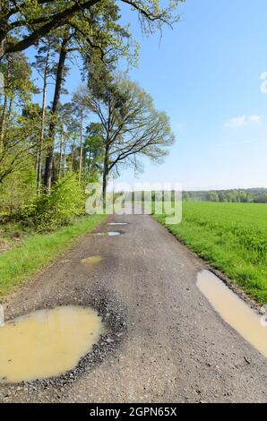 Idyllische Landschaft mit Wanderweg entlang eines Waldes mit grünen Blättern in der Landschaft in Westerwald, Rheinland-Pfalz, Deutschland, Europa Stockfoto