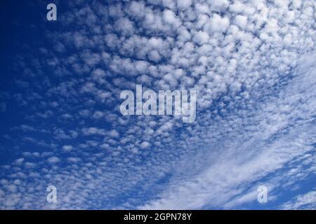 Baumwollartige Wolken am Himmel Stockfoto