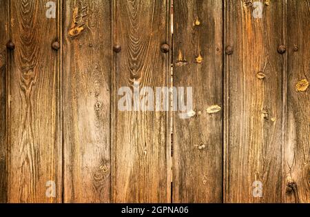 Detail der alten Holztür in braunen Tönen mit viel Textur und rostigen Eisennägeln, mit Kopierraum am Boden. Stockfoto
