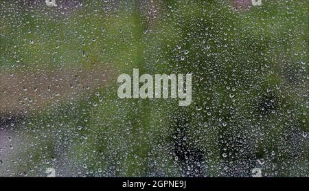 Regen läuft an einem Fenster herunter. Beautfiul Regentropfen auf einem Fenster. Stockfoto