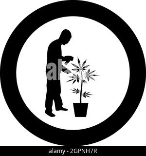 Mann, der für Marihuana-Pflanze im Topf Wasser Spritzen mit Handregner Bewässerung Gartenernte Konzept zu Hause Silhouette im Kreis Runde schwarze Farbe Vektor Illustration solide Kontur Stil Bild Stock Vektor