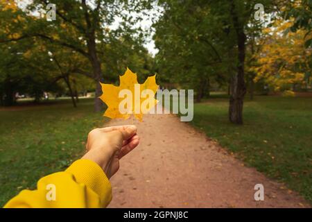 Laubhandpark. Ein Mädchen hält ein gelbes Ahornblatt vor dem Hintergrund eines Herbstparks. Das Konzept der Einsamkeit, der herbstlichen Traurigkeit, des Gehens in einem em Stockfoto