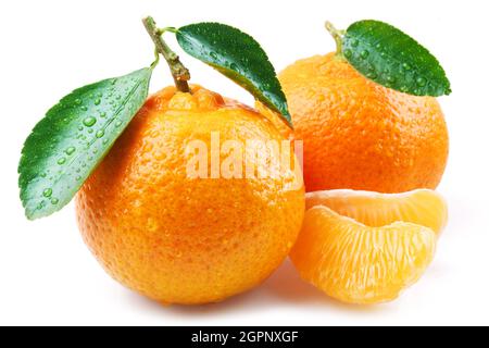 Reife Mandarinenfrucht in Wassertropfen mit Scheiben und Mandarinenblättern isoliert auf weißem Hintergrund. Stockfoto