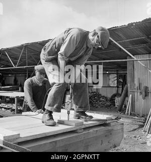 Nahaufnahme eines Arbeiters, der in einem Bauhof des Solway Chemical Works in Whitehaven Schrauben in eine Holzdiele bohrt. Solway Chemicals Ltd war eine Tochtergesellschaft von Marchon Products Ltd. Im Jahr 1943 gründete Marchon ein großes Chemiewerk an einem Standort in Kells, Whitehaven. Im Jahr 1955 eröffnete Solway Chemicals Ltd neben dem Standort Marchon eine neue Anhydrit-Erschließung. Diese Pflanze, die auch Solway Works genannt wird, produzierte Schwefelsäure und enthielt eine Anhydrit-Mine, Zementöfen und eine Säureanlage. Stockfoto