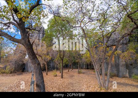 Mungana Rock Art Site, Chillagoe-Mungana Caves National Park, North Queensland Stockfoto