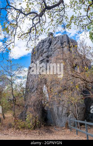 Kalksteinformationen in der Mungana Rock Art Site, Chillagoe-Mungana Caves National Park, North Queensland Stockfoto