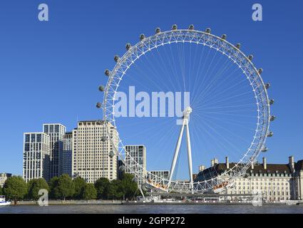 London, England, Großbritannien. Das London Eye / Millennium Wheel, das Shell Center (L) und die County Hall (R) von der anderen Flussseite aus gesehen Stockfoto