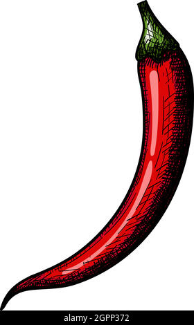 Symbol Für Chili Stock Vektor