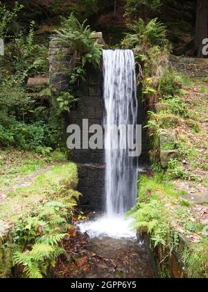 Wasserfall (Hřensko, Kreis Děčín, Region Ústí nad Labem, Tschechische Republik) Stockfoto