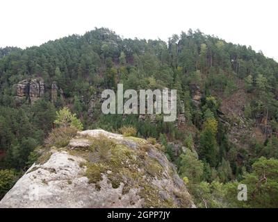 Burg Falkenštejn (Jetřichovice, Region Ústí nad Labem, Kreis Děčín, Tschechische Republik) Stockfoto