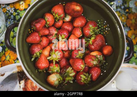 Sieb voller reifer Erdbeeren Stockfoto
