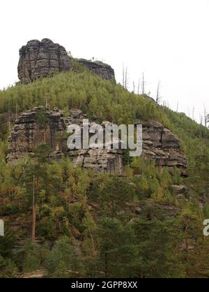 Burg Falkenštejn (Jetřichovice, Region Ústí nad Labem, Kreis Děčín, Tschechische Republik) Stockfoto