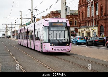 Bombardier Flexity 2 Tram 003 in der Pink-Lackierung des Bekleidungsladens „Pretty Little Thing“ an der Strandpromenade von Blackpool an der britischen Westküste Stockfoto