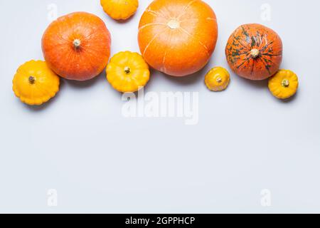 Viele Kürbisse und Kürbis als Grenze auf grauem Hintergrund für Thanksgiving-Tag oder fröhliche Halloween-Party. Blick von oben. Speicherplatz kopieren. Stockfoto